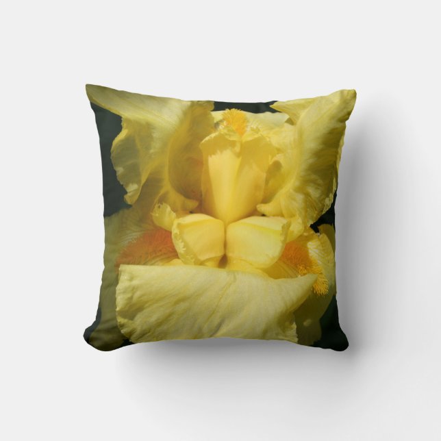Coussin Fleur de fer jaune près (Recto)