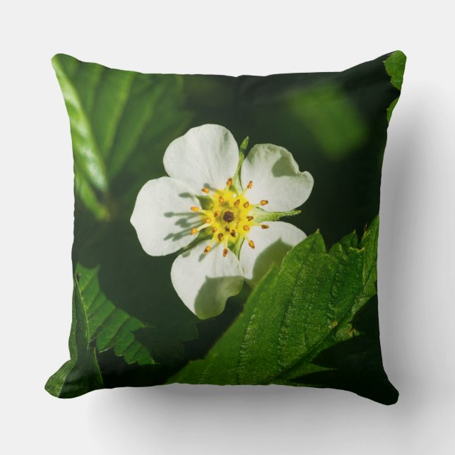 Coussin Fleur de fraises sauvages (Recto)