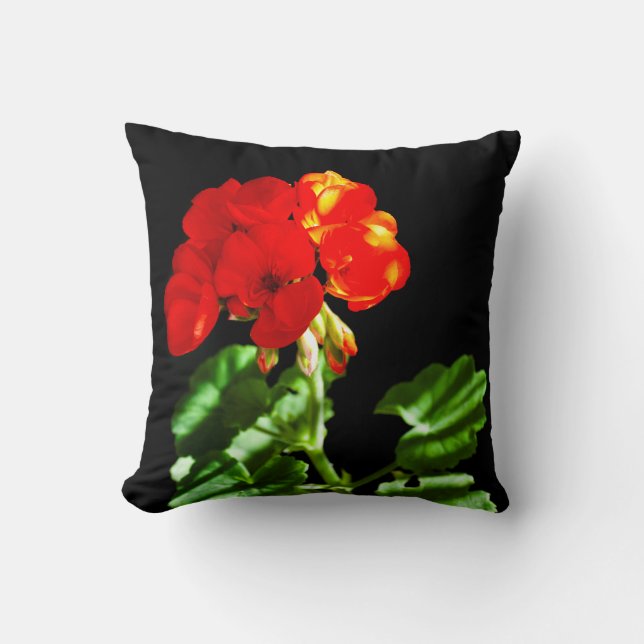 Coussin Fleur de géranium rouge (Recto)