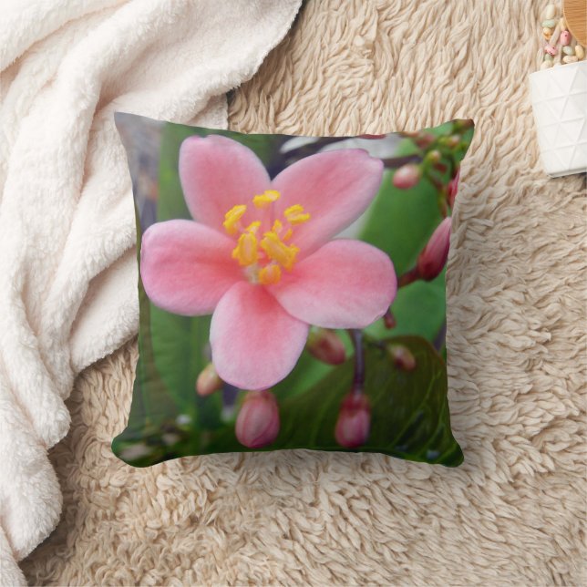 Coussin Fleur de Jatropha et boutons de fleurs (Couverture)