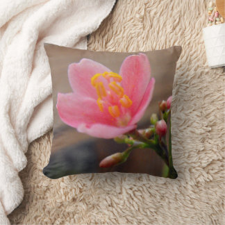 Coussin Fleur de Jatropha Rose Clair
