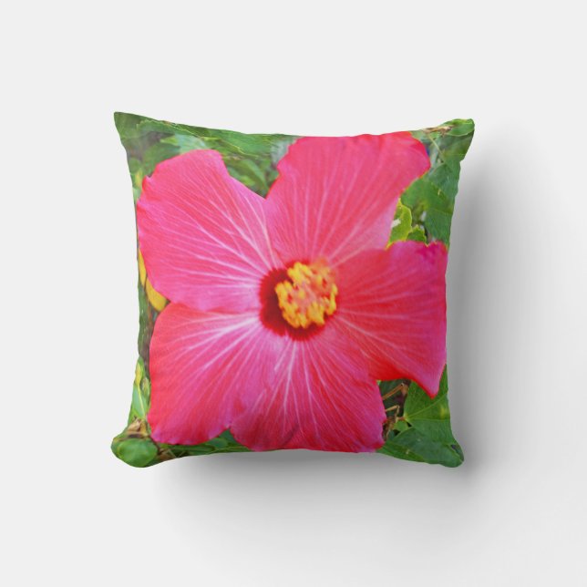 Coussin Fleur de ketmie (Recto)