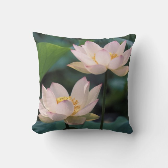 Coussin Fleur de Lotus en fleurs, Chine (Recto)