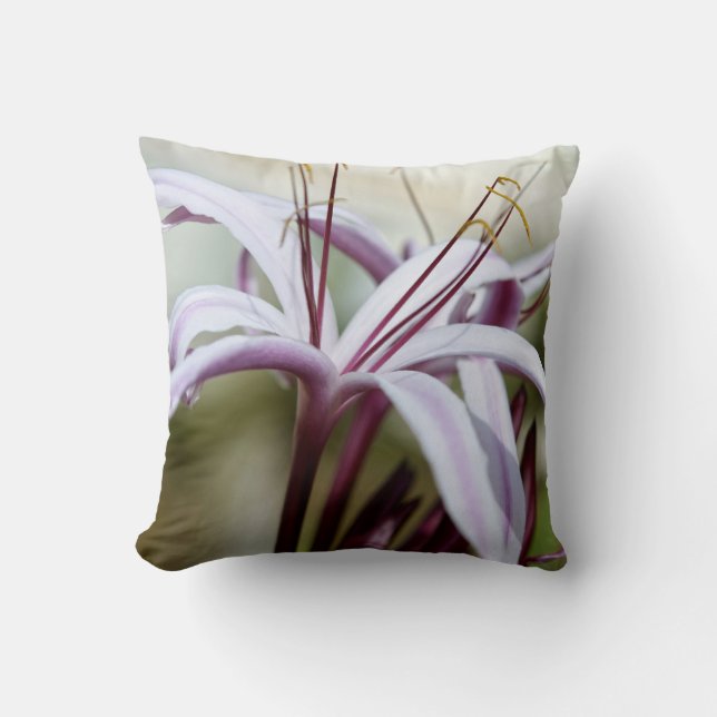 Coussin Fleur de lys rose pâle, art photo botanique (Recto)