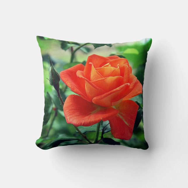 Coussin Fleur de rose de la nature-46458 (Recto)