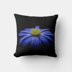 Coussin Fleur Gerbera Blue Daisy sur un arrière - plan noi