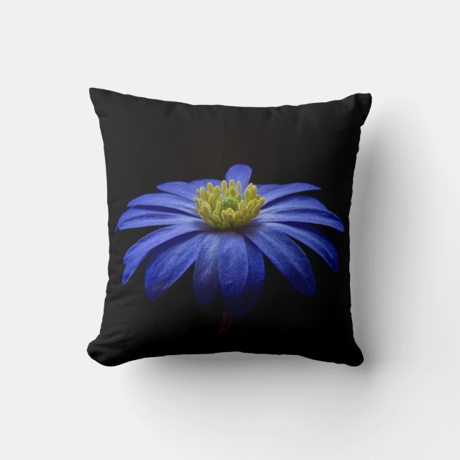 Coussin Fleur Gerbera Blue Daisy sur un arrière - plan noi (Recto)