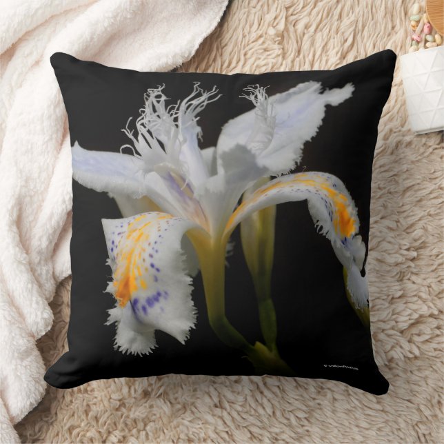 Coussin Fleur Japonica Iris Japonica étonnante Florale Cre (Couverture)