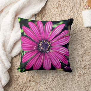 Coussin Fleur marguerite africaine violet simple