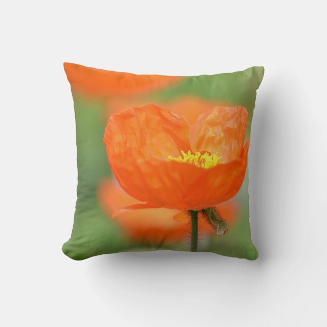 Coussin Fleur orange de pavot d'Islande (Recto)