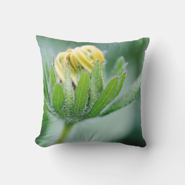 Coussin Fleur ouverte de Cone Flower (Recto)