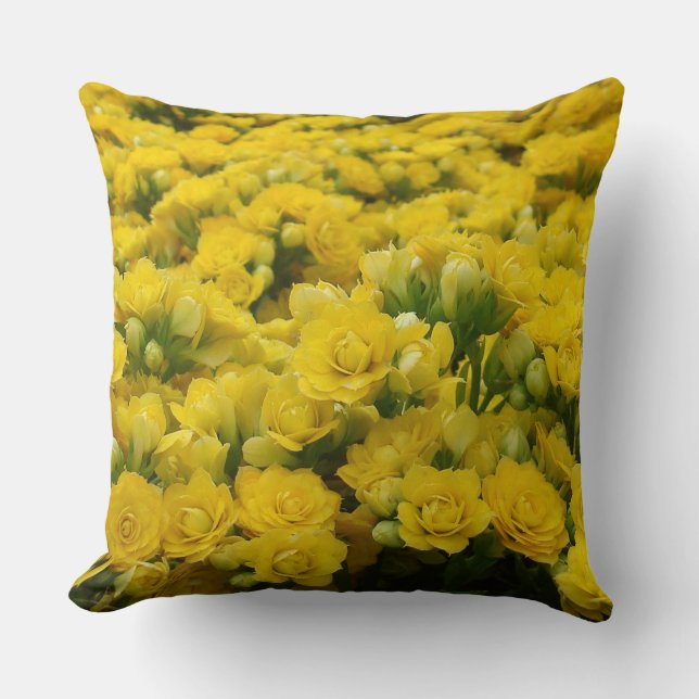 Coussin Fleur Photo Bright Yellow Blooms Feminine Florale (Recto)