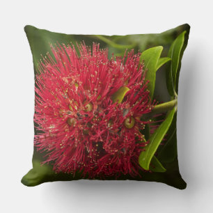 Coussin Fleur Pohutukawa, Dunedin