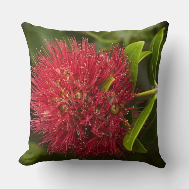 Coussin Fleur Pohutukawa, Dunedin (Recto)
