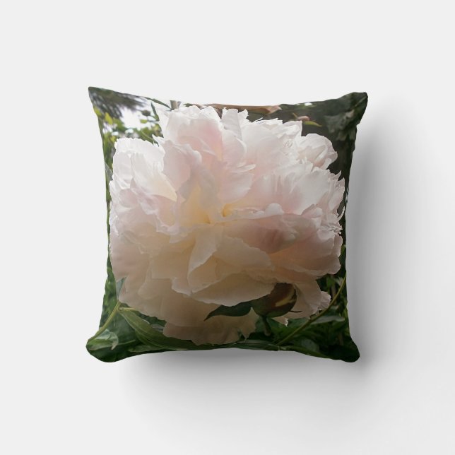 Coussin Fleur rose de pivoine (Recto)