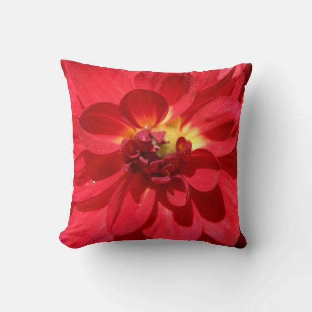 Coussin Fleur Ruby Red Dahlia (Recto)