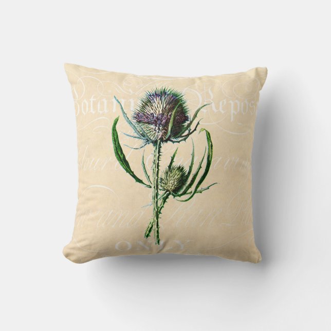 Coussin Fleur sauvage d'antiquité de chardon d'écossais du (Recto)