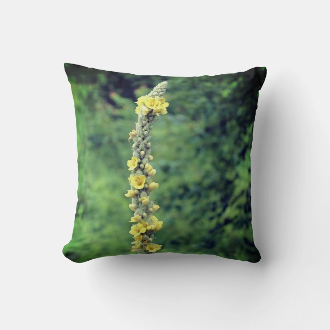 Coussin Fleur sauvage jaune Mullein (Recto)