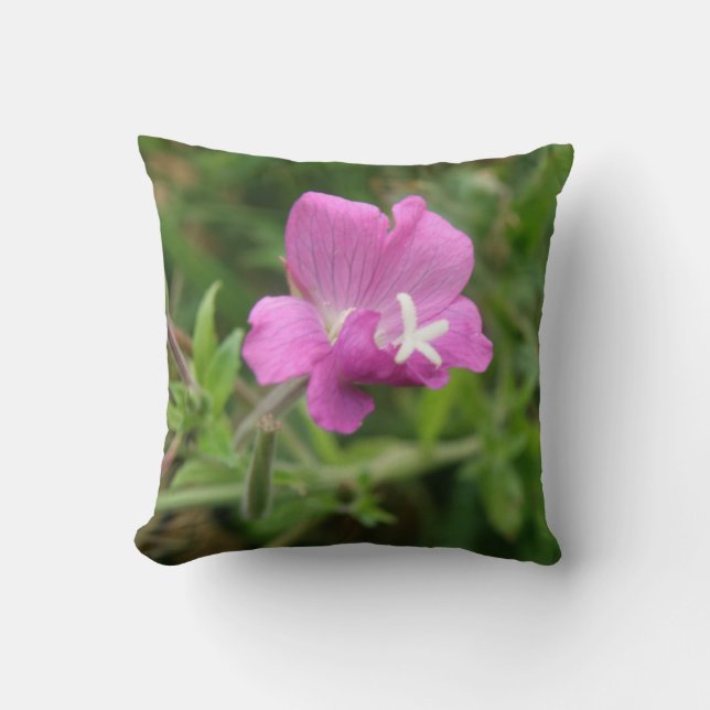 Coussin Fleur sauvage Red Campion (Recto)