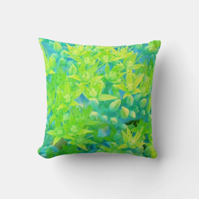 Coussin fleurs (Recto)