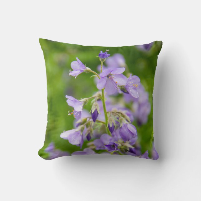 Coussin Fleurs bleues délicates sur un champ vert dans un  (Recto)