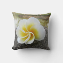 Fleurs, bugs, japonaise, asiatique, chinois, vieux