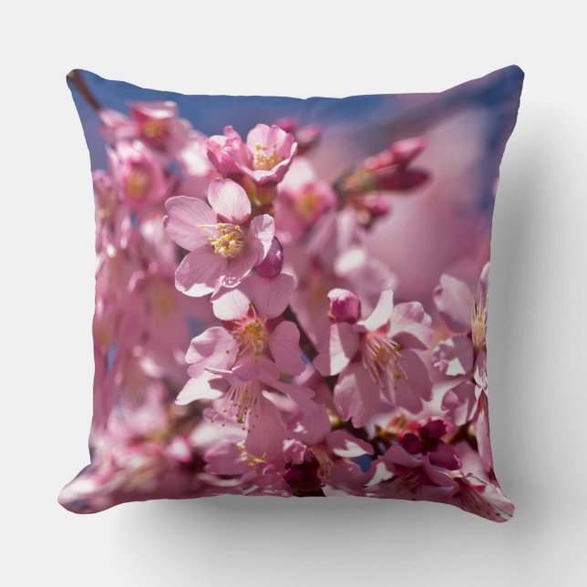 Coussin Fleurs de cerisier Sakura embrassées par la lumièr (Recto)
