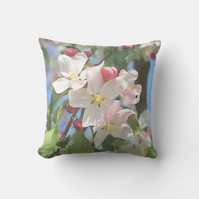 Coussin Fleurs de fleurs de pomme en fleurs à l'extérieur  (Recto)