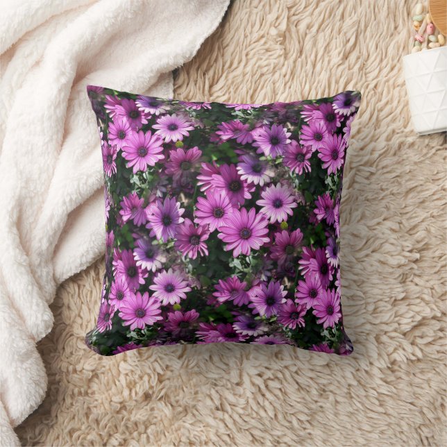 Coussin Fleurs de marguerite africaine violet Motif de la  (Couverture)