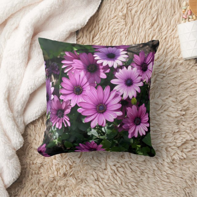 Coussin Fleurs de marguerite africaine violette  (Couverture)