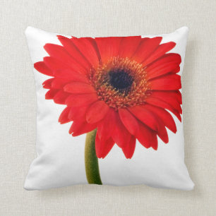 Coussin Fleurs de marguerite rouge de Gerber