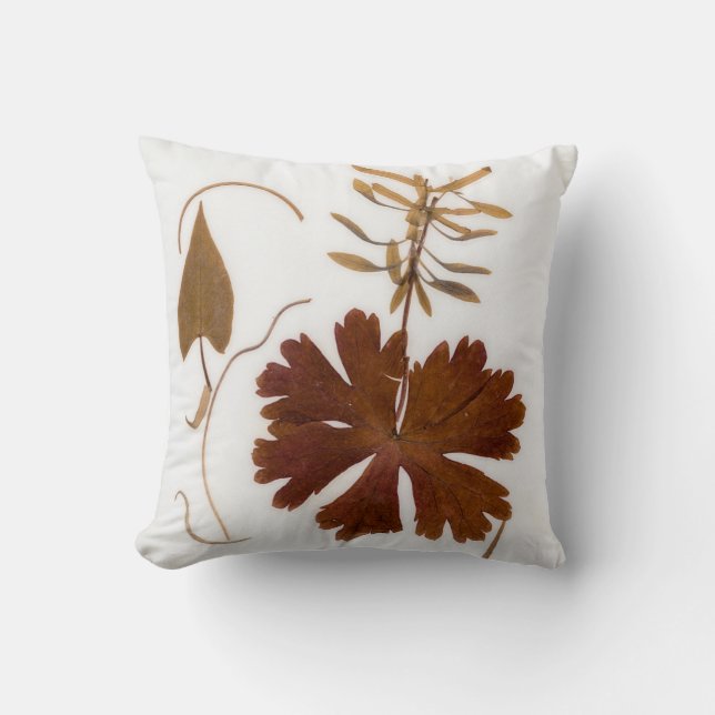 Coussin Fleurs pressées du milieu du XXe siècle (Recto)