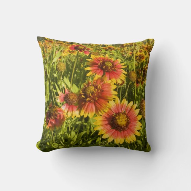 Coussin fleurs sauvages à roues à feu (Gaillardia pulchell (Recto)