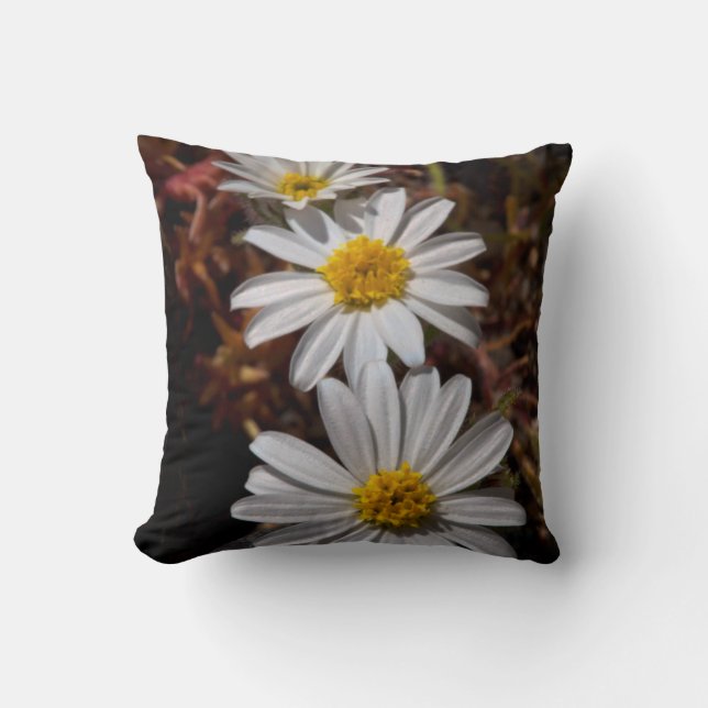 Coussin Fleurs sauvages Desert Star (Recto)