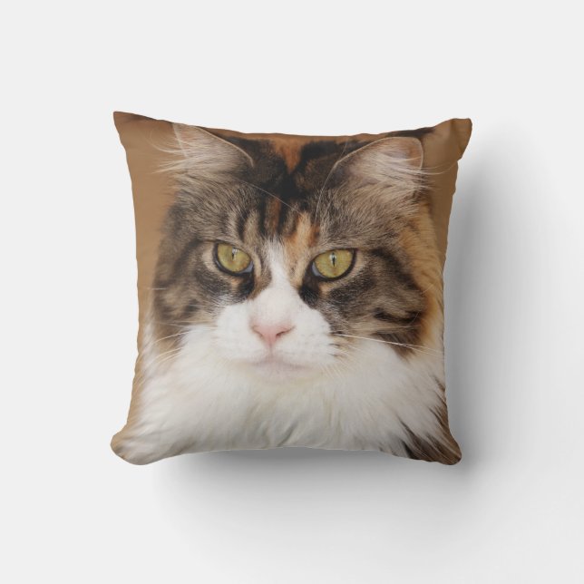 Coussin Fluffy Maine Coon Cat (Recto)