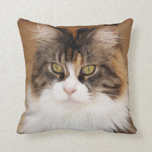 Coussin Fluffy Maine Coon Cat