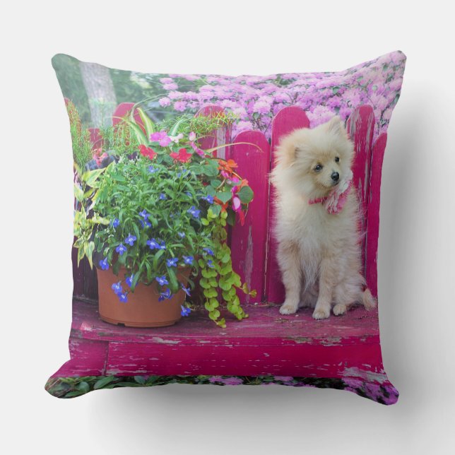 Coussin Fluffy Poméranien Chiot Rustique Jardin Floral (Recto)