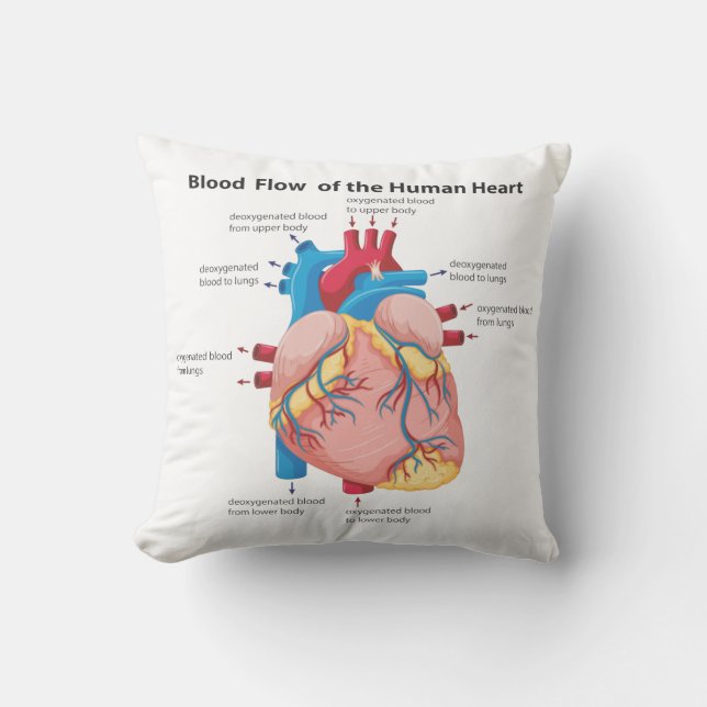 Coussin Flux sanguin du coeur humain (Recto)