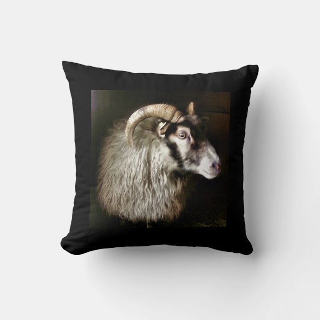 Coussin FOI SHEEP islandaise (Recto)