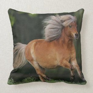 Coussin Fonctionnement miniature de cheval