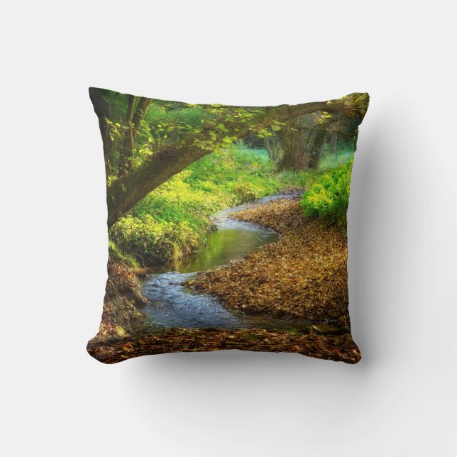 Coussin Forest Creek Belle nature Paysage Photo (Recto)