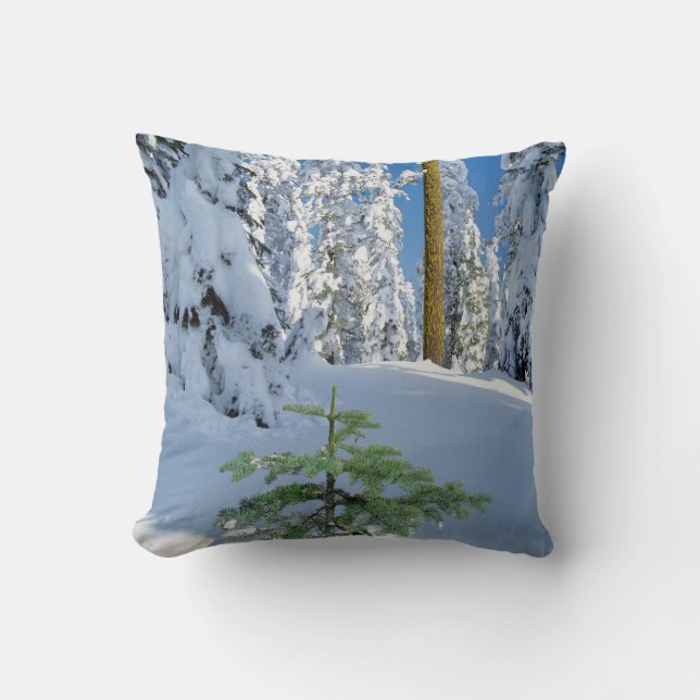 Coussin Forêt couverte de neige en Oregon (Recto)