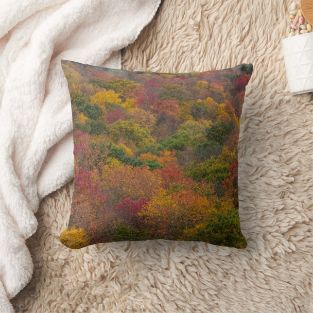 Coussin Forêt de feuillus dans le comté de Randolph, Virgi (Couverture)