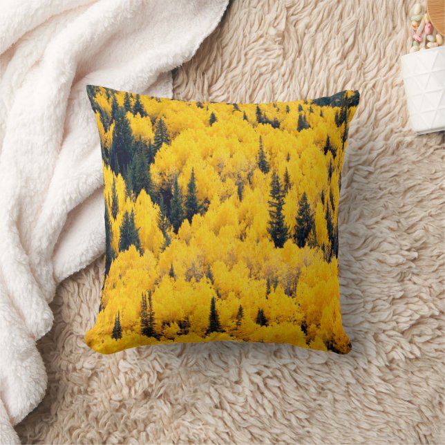 Coussin Forêt nationale de White River | Aspen, Colorada