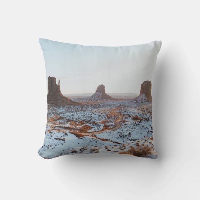 Coussin FORMATION Brown DE ROCHE SUR LE SOL BLANC COUVERT  (Recto)