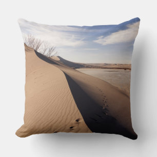 Coussin Formations de dunes de sable. Parc d'État des Dun
