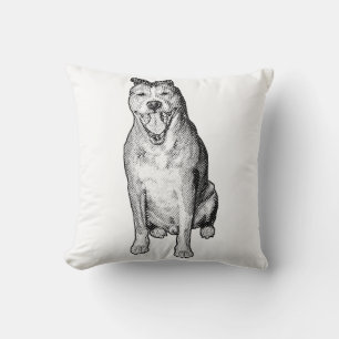 Coussin Forme silencieuse ombrée