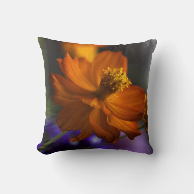 Coussin fou d'accent de cosmos (Recto)