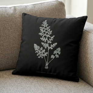 Coussin Fougère de Jersey, Anogramma leptophylla