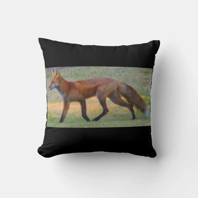 Coussin Fox (Recto)